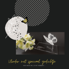 Vlinder met gedichtje acrylglas vlinder met gedichtje