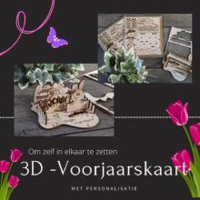 3d Voorjaarskaart leader